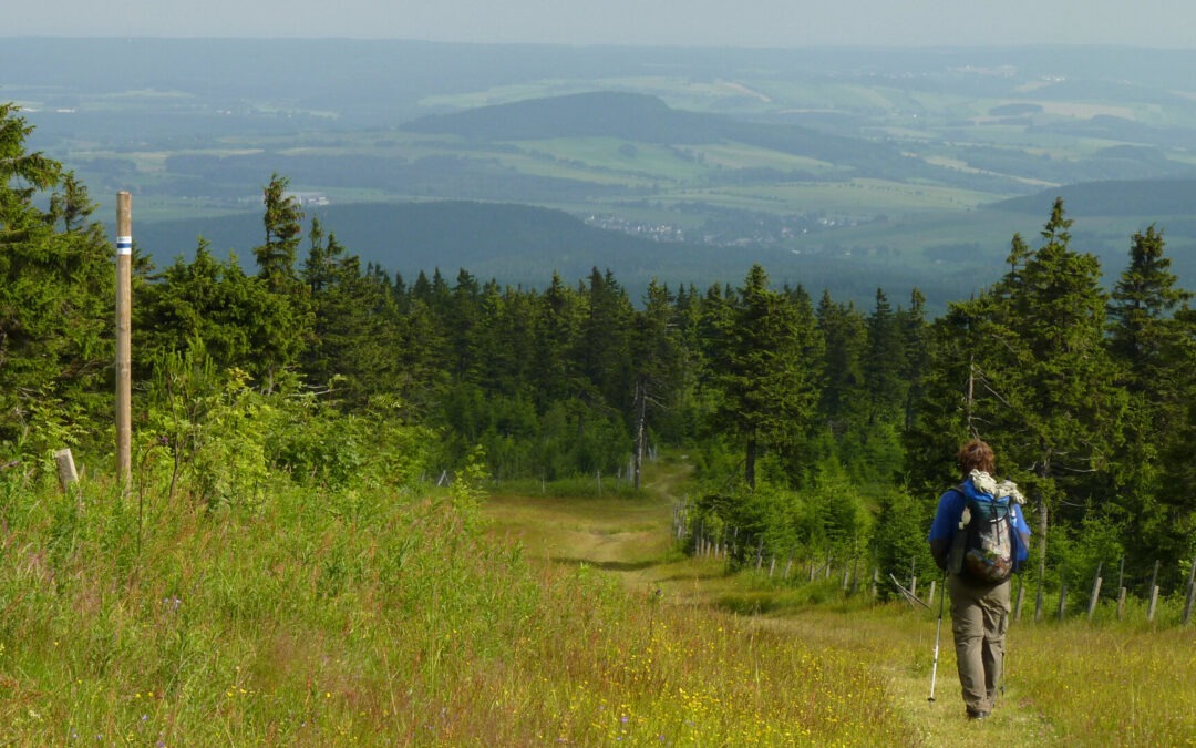 Hiker on the Blue Ridge Trail in the Ore Mountains near the Fichtelberg