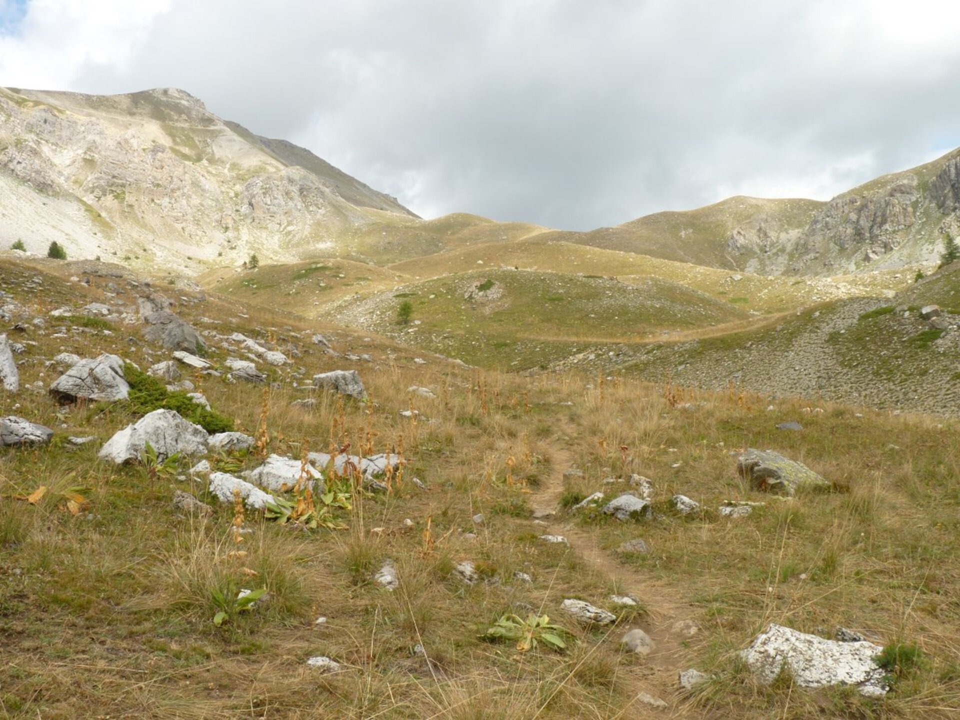 Wanderweg des Aufstiegs von Pontebernardo zum Passo Rocca Brancia