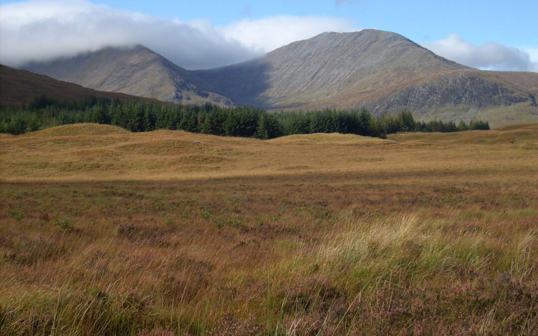 Long-distance trails for beginners: Rannoch Moor from the West Highland Way